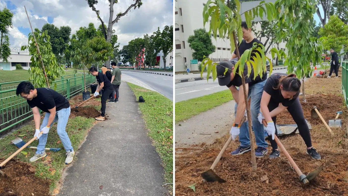 Each of us planted a tree along the roads of Singapore